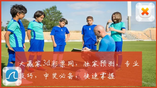 大赢家3d彩票网，独家预测，专业技巧，中奖必备，快速掌握