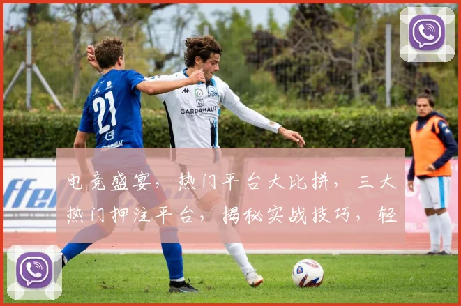 电竞盛宴，热门平台大比拼，三大热门押注平台，揭秘实战技巧，轻松盈利
