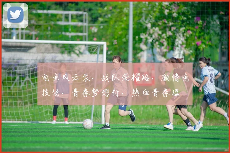 电竞风云录，战队荣耀路，激情竞技场，青春梦想行，热血青春逗